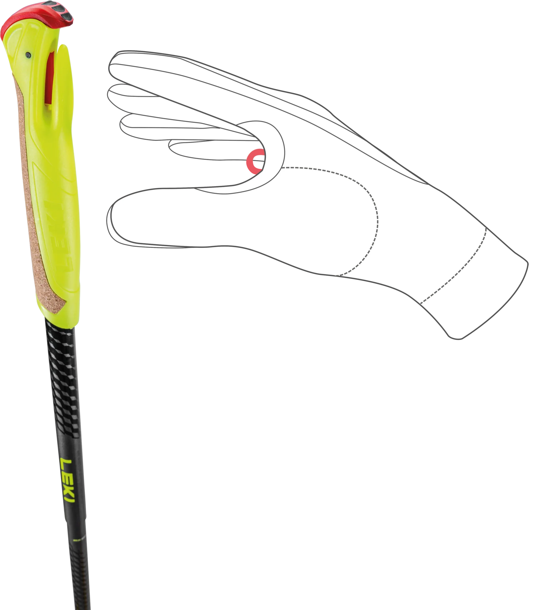 Miniatuur 7